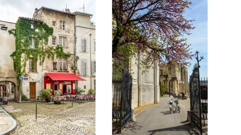 Avignon